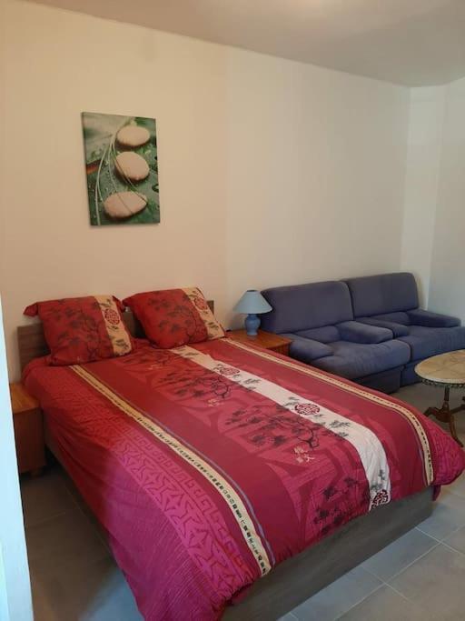 Appartamento Confortable En Hyper Centre Parking Gratuit Dans La Rue Acces Avec Boite A Clee Castres  Esterno foto